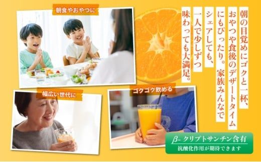 【お中元】みかん100 1L×6本 | みかんジュース 温州みかん 100%ジュース ストレートジュース 果汁100% 無添加 国産ジュース フルーツジュース お取り寄せ ギフト 人気 子供向け 健康飲料 九州 特産品