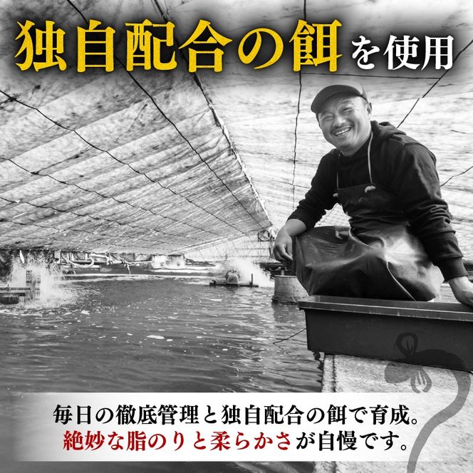 完全無投薬 きざみうなぎ 1000g ( 100g × 10袋 ) 国産 うなぎ蒲焼 国産うなぎ 鰻 きざみうなぎ蒲焼 うなぎ蒲焼き 刻みうなぎ 刻みウナギ ウナギ 鰻 冷凍 パック カット 真空パック 小分け 湯煎 簡単調理 個食 うなぎ 鰻 人気 養殖 ウナギ うなぎ おすすめ うなぎ かばやき うなぎ 高級 特別 贅沢 うなぎ 鰻 ひつまぶし うなぎ ウナギ 夏 鰻 高知県安芸市/西岡養鰻