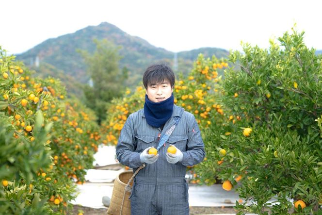 4月 まで 木成 完熟 させた 有田 はっさく 特秀 L × 15玉 2段詰 化粧箱 南泰園 みかん  	BS754