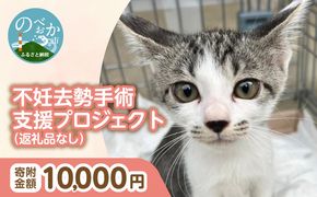 人と猫が互いに幸せになれるまちを目指して『不妊去勢手術支援プロジェクト』（返礼品はありません） N0159-9999992