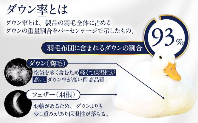 【訳あり】【糸島羽毛ふとん】【高級ダウン使用】羽毛 布団 本掛け 柄おまかせ フランス産 ダウン93％【クイーン】 糸島市 / 株式会社三樹 / 布団 羽毛[AYM039]