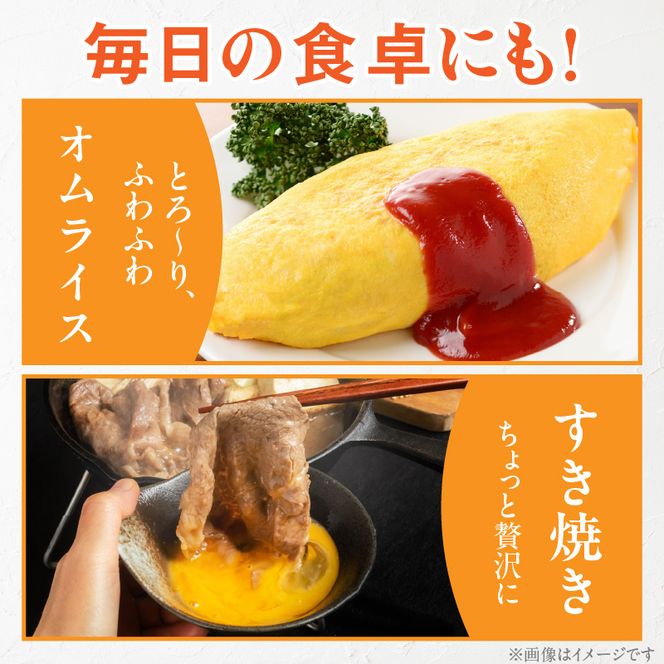 【山ちゃん家の生みたて葉酸たまご】赤玉元気卵（40個入り）［132Y06］