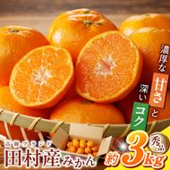 G7339_【2026年11月下旬頃より発送】高級ブランド 秀品 紀州有田田村産みかん 3kg 濃厚 糖度 酸味 バランス 甘さ コク 国産 みかん 有田みかん フルーツ 果物 果実 デザート おやつ お取り寄せ お取り寄せフルーツ 和歌山県 湯浅町 送料無料