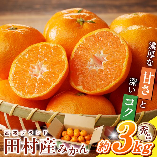 G7339_【2026年11月下旬頃より発送】高級ブランド 秀品 紀州有田田村産みかん 3kg 濃厚 糖度 酸味 バランス 甘さ コク 国産 みかん 有田みかん フルーツ 果物 果実 デザート おやつ お取り寄せ お取り寄せフルーツ 和歌山県 湯浅町 送料無料