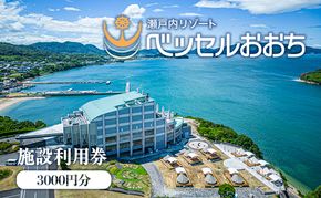 瀬戸内リゾートベッセルおおち施設利用券 3000円 チケット 旅行 オーシャンビュー 複合温泉施設 温泉 日帰り 入浴 宿泊施設 ログハウス ホテル 