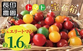 【先行受付】2026年11月から発送 まるでトマトの宝石箱！フルーツジュエリートマト約1.6㎏ 長田農園 産地直送 トマト とまと 野菜 やさい フルーツ サラダ 濃厚 甘い ご褒美 プレゼント 美容 健康 リピート多数 人気 高評価 先行受付 数量限定 碧南市 H004-247_Nov