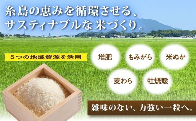 【全6回定期便】 にこまる 玄米品質1等米 白米 5kg 糸島市産 糸島市 / 糸島の恵み コメ こめ ご飯[AGR009]