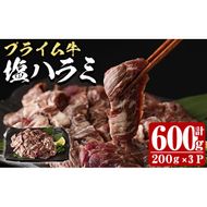  プライム牛 塩ハラミ(600g) 小分け 牛肉 肉 ハラミ 牛はらみ 味付け 焼肉 塩 BBQ 冷凍 大分県 佐伯市【DH296】【(株)ネクサ】