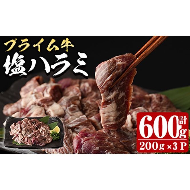 y啪szvC n~(600g)    n~ ͂ t ē  BBQ Ⓚ 啪 syDH296zy()lNTz
