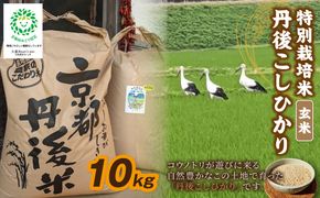 【3ヶ月定期便】令和8年産 丹後こしひかり 玄米10kg 【特別栽培米】新米　KU00106