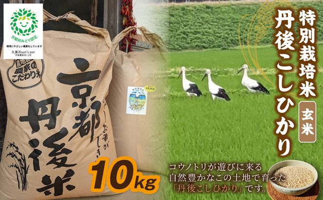 【3ヶ月定期便】令和8年産 丹後こしひかり 玄米10kg 【特別栽培米】新米　KU00106