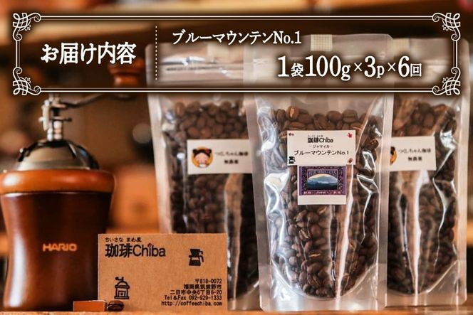 【6回定期便】 コーヒー豆 ブルーマウンテン 100g 3パック [珈琲Chiba 福岡県 筑紫野市 21761421] コーヒー 珈琲 豆 珈琲豆 セット ブルーマウンテンNo.1 ブルマン 豆のまま おいしい coffee bean beans 定期 定期便 6ヶ月 6回