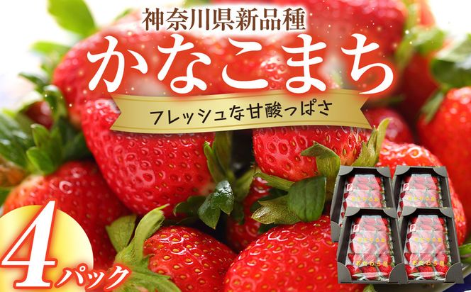 神奈川県新品種「かなこまち」　完熟イチゴ　苺　4パック入り 142069_CP008