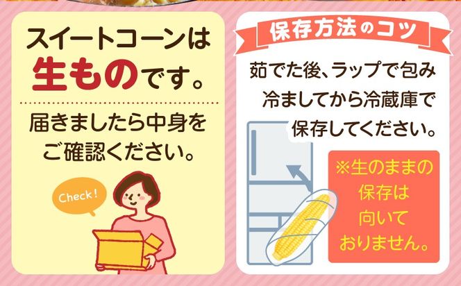 宮崎県産 スイートコーン 約4.5kg