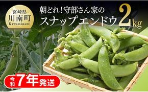 【令和7年発送】朝どれ！守部さん家のスナップエンドウ2.0kg【 野菜 宮崎県産 エンドウ豆 えんどう豆 おつまみ 2025年発送 】 [D06410]