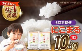 【6回定期便】長崎県産 精米 にこまる 10kg（5kg×2袋）総計60kg / 米 お米 こめ コメ 精米 / 南島原市 / 大松屋商店[SDR015]