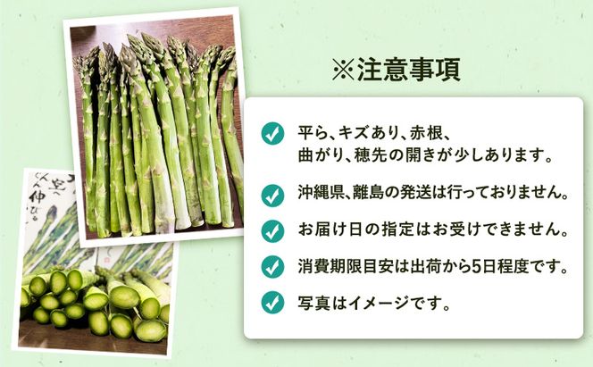 ［武田農園とれたて直送］2027年春～発送 訳あり グリーンアスパラ サイズ混合 約1kg ご家庭用 やわらかくて抜群に甘い！北海道 富良野産 ( アスパラガス アスパラ 野菜 新鮮 産地直送 先行予約 限定 )