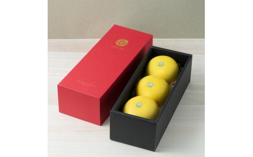 【先行予約】秀品 ☆高知産 土佐文旦☆ 3L 3玉入【贈答用】〈2027年1月下旬頃より順次発送〉/ 柑橘 フルーツ 先行予約 ぶんたん ブンタン 果物 お取り寄せ【TAMURAKAJUEN】