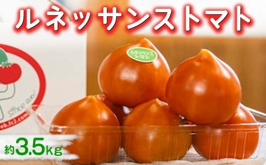 ymlzlbTXg}g@3.5kg 2026N1{`5{ɏ\聟