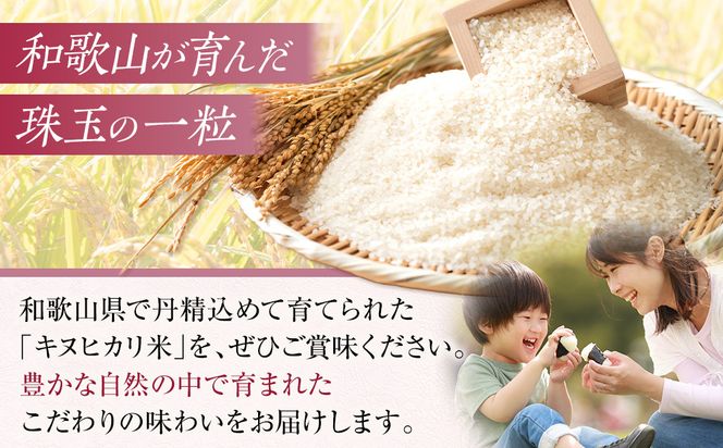 和歌山県産 米 キヌヒカリ 10kg  (2025年産)［SL28］ 303446_CG90020