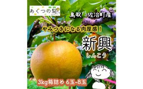 新興梨 3kg箱詰め(鳥取県佐治町産) [あくつの梨] 312011_FX003