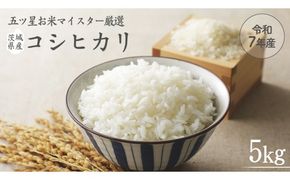《 令和7年産 》 茨城県産 コシヒカリ 5kg ( 5kg × 1袋 )  期間限定 こしひかり 米 コメ こめ 五ツ星 高品質 白米 精米 時短 単一米 [AC039us]