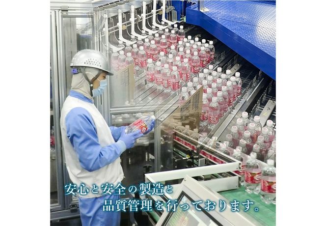 【炭酸水】 ウィルキンソン タンサン PET500ml×2箱 (48本入) アサヒ 炭酸水 強炭酸水 炭酸 炭酸飲料 水 ウイルキンソン WILKINSON 2箱 山梨 富士吉田