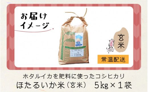 【訳あり】ほたるいか米（玄米５kg）【通年発送】
