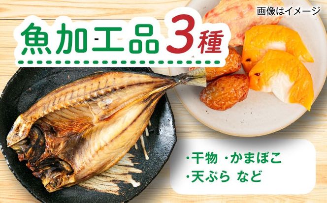 【全12回定期便】糸島産 魚 米 野菜 果物 厳選詰め合わせ MINORI BOX Mサイズ 糸島市 / emma.Inc / 米 魚 野菜 果物 詰め合わせ[AOP026]