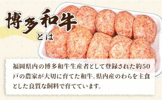 【A4ランク博多和牛入り】 特製生ハンバーグ 130g×10個 糸島市 / 糸島ミートデリ工房 牛肉 黒毛和牛 ハンバーグ [ACA253] 博多 和牛 牛肉 豚肉 ハンバーグ 赤身 国産 福岡 冷凍