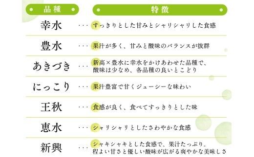 ランキング1位獲得!!【 JA 北つくば 】 筑西ブランド 認証品 豊水 5kg 2026年産 先行予約 梨 果物 フルーツ なし ナシ 豊水梨 くだもの デザート 茨城 [AE010ci]