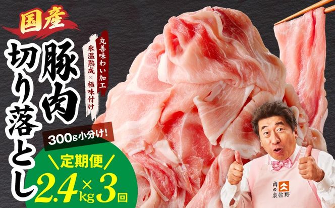 mrzZ012 【定期便】国産 豚肉 切り落とし 2.4kg×全3回【氷温熟成×極味付け 小分け 300g×8P ぶたにく 普段使い 野菜炒め 毎月配送コース】