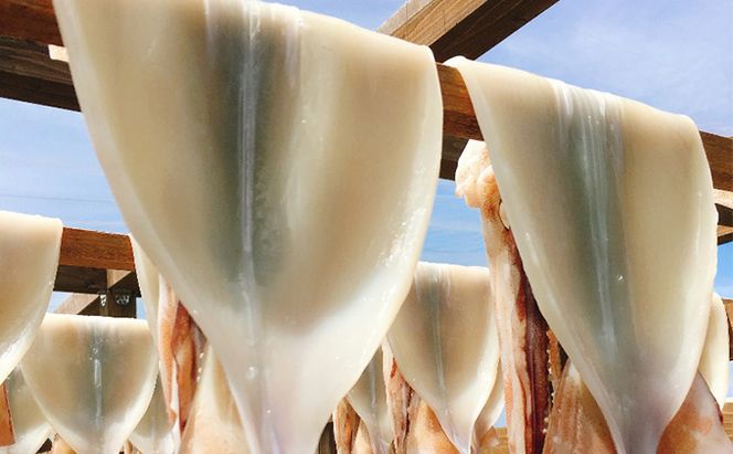 イカ 生干しイカ 4枚（1枚約200g×4枚） 炭火焼きイカ 4パック いか セット 干物 干物セット するめ スルメ スルメイカ 海鮮 魚介類 魚介 海産物 惣菜 青森県 鰺ヶ沢町 ※ご入金確認後 3ヶ月以内の発送になります。 青森県鰺ヶ沢町 