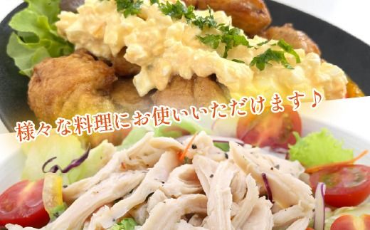 宮崎県産若鶏むね肉カット 3kg（300g×10P）国産 鶏肉 若鶏 モモ カット済み 小分け 唐揚げ 大容量 冷凍