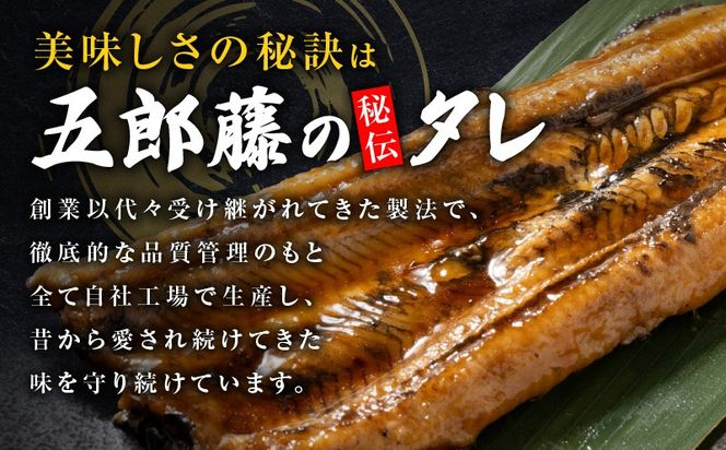 010B2030 【五郎藤】味付け丸穴子 2尾×4パック 計8尾（8人前）小分けパック 計600g前後 ペルー産 マルアナゴ まるあなご