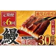 【1504304b】＜定期便・全6回＞東串良町のうなぎ蒲焼(無頭)(5尾・計約750g・タレ、山椒付×6回)うなぎ 高級 ウナギ 鰻 国産 蒲焼 蒲焼き たれ 鹿児島 ふるさと 人気【アクアおおすみ】