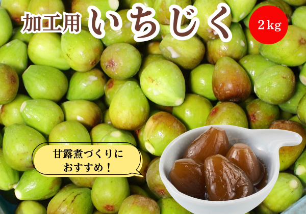 期間限定 加工用 生いちじく 2kg 秋田県にかほ市産 北限のいちじく ブルンスウィッグ
