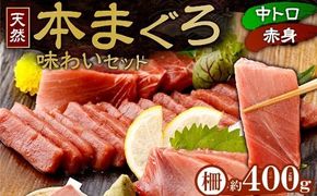まぐろの王様！ 天然本まぐろ 味わいセット ４００ｇ サク 柵 スライス 切落し セット 天然 天然まぐろ 天然マグロ まぐろ 中トロ 赤身 鮪 刺身 お刺身 食べ比べ  高知 室戸 冷凍 小分け 便利 tk074