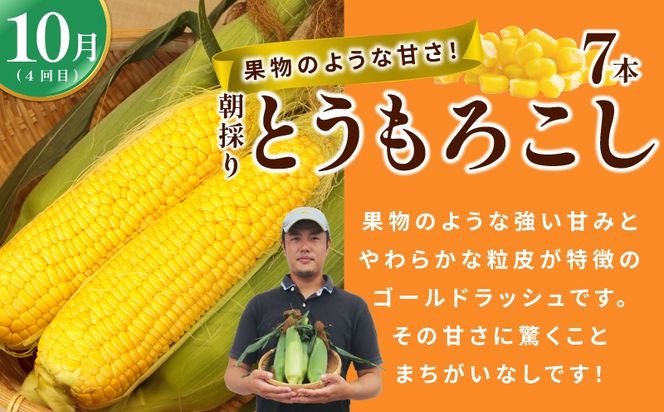 099Z563 【定期便】泉州TONOファームが贈る定期便 野菜とフルーツの旬の味リレー【7月～10月発送 水ナス トウモロコシ 枝豆 いちじく 茄子 とうもろこし 豆 イチジク なす 新鮮 泉州 やさい フルーツ】
