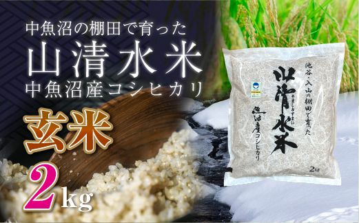 新潟県魚沼産コシヒカリ「山清水米」玄米2kg 