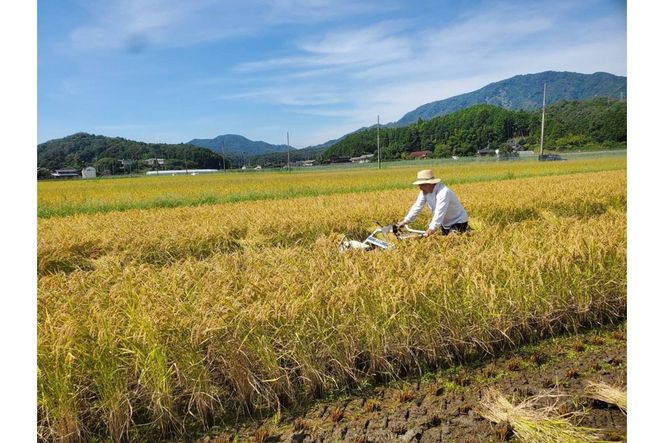 2025年産 京丹後産稲作発祥の地コシヒカリ特別栽培米 月の輪田米 玄米10kg（天日干し）　WK00003