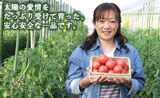 うしの恵 フルーツトマト4箱(650g×4) - 野菜 フルーツ トマト ギフト 料理 アレンジ サラダ 完熟 リコピン 甘い あまい フレッシュ さっぱり 酸味 プチギフト 贈答 お礼 御礼 美味しい おいしい 国産 高知県 香南市 mj-0032