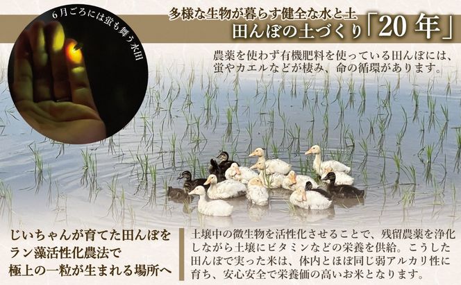 【先行予約】《 令和８年産 新米 》極上のコシヒカリ「七〇八米（なおやまい）スペシャルパッケージ」 (By-003) 