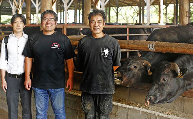 【お中元】神戸牛（肩ロース）すき焼き用/しゃぶしゃぶ用 500g お肉・牛肉・和牛ロース ヒライ牧場 御中元