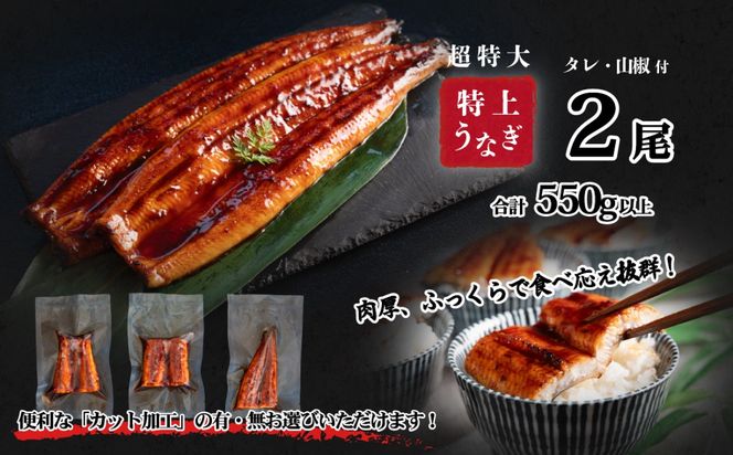  国産 うなぎ 蒲焼 山椒付き 【サイズ・容量・ギフト・発送時期が選べる】 特上2尾 550g以上 (カット加工有・無) / 3尾 380g以上 / 5尾 640g以上 ウナギ 鰻 ふぞろい 不揃い うな重 ひつまぶし 人気 茨城 八千代町 ふるさと納税 冷凍 タレ 山椒 化粧箱 父の日 母の日 ギフト お中元 お歳暮 [SF045ya00]
