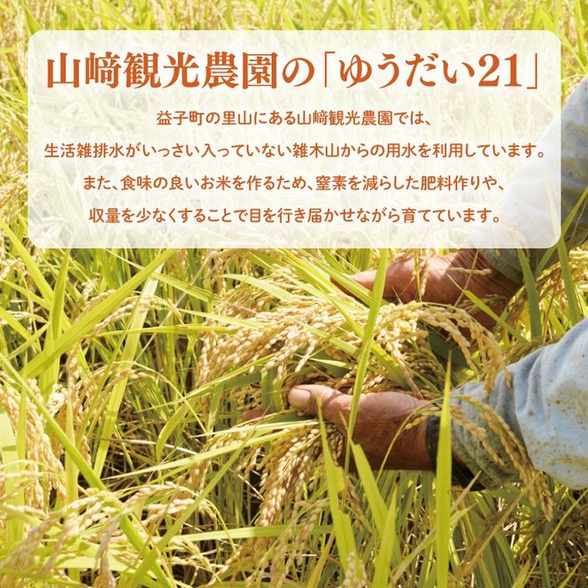 ★新米 令和8年★ 米 5kg 白米 「ゆうだい21」 ＼先行予約／ 山﨑観光農園 栃木県 益子町 ふるさと納税 お米 ゆうだい21 白米 精米 5キロ 令和8年産 先行予約 (AU058)