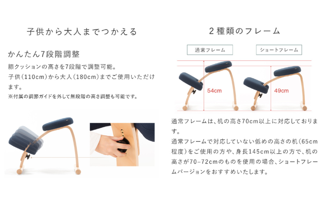 椅子 バランスイージー カバー付き 選べる フレーム カラー 姿勢矯正 インテリア 家具