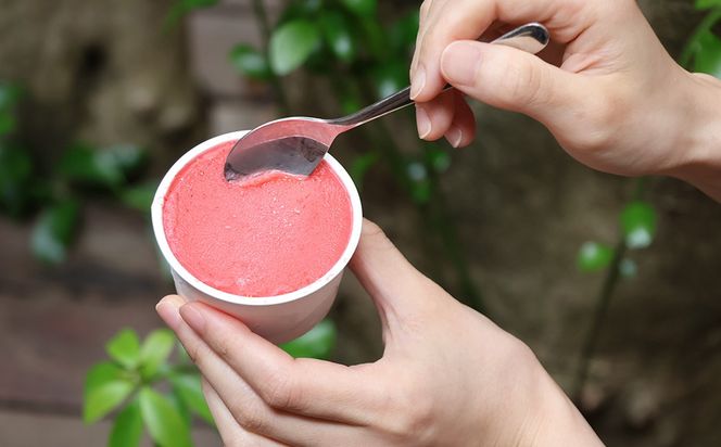 【とちあいか70％使用】栃木県さくら市産「さくらベリー」の濃厚いちごジェラート 90ml×4個