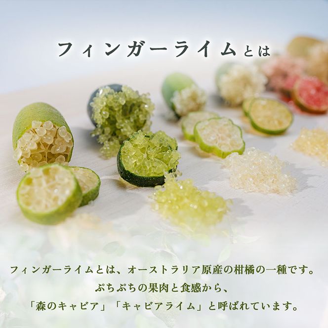 フィンガーライム 200g　フルーツ 果物 森のキャビア キャビアライム フルーツキャビア 岐阜県 海津市
