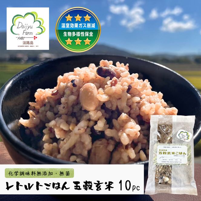 レトルトごはん（五穀玄米） 10パックセット 化学調味料無添加・無菌